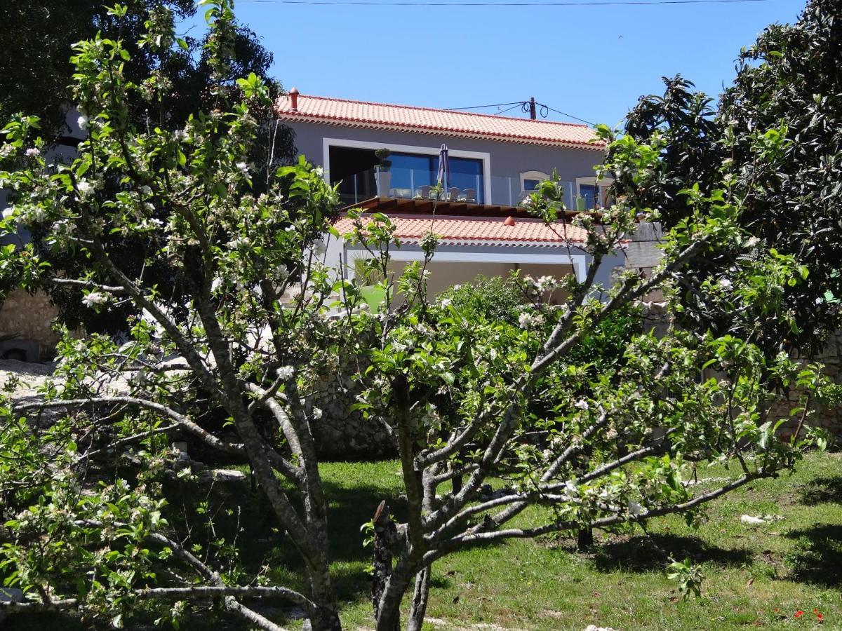 Casa Da Riguerinha Bed & Breakfast Monsanto Exterior photo