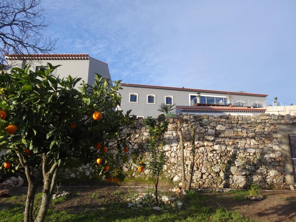 Casa Da Riguerinha Bed & Breakfast Monsanto Exterior photo